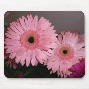 Pink Gerber Daisy Muismat