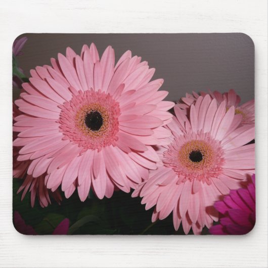 Pink Gerber Daisy Muismat (Voorkant)
