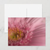 Pink Gerbera · Briefkaart (Voorkant / Achterkant)
