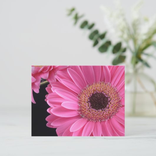 Pink Gerbera Briefkaart (Staand voorkant)