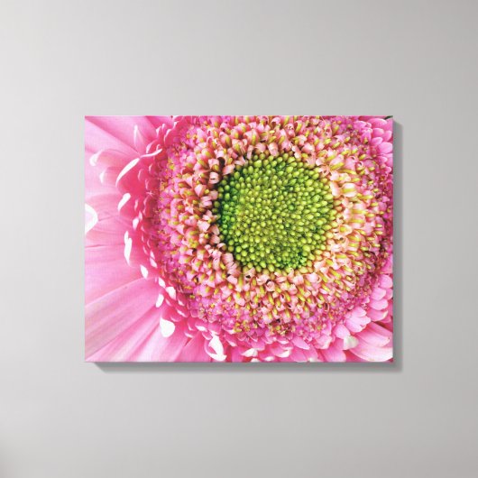 Pink Gerbera Canvas Afdruk (Voorkant)