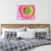 Pink Gerbera Canvas Afdruk (Insitu (Slaapkamer))
