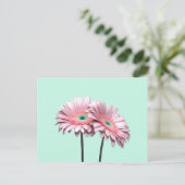 Pink Gerbera Daisies Briefkaart (Staand voorkant)
