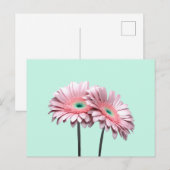 Pink Gerbera Daisies Briefkaart (Voorkant / Achterkant)
