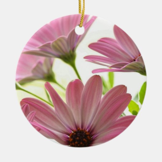 Pink Gerbera Daisies Keramisch Ornament (Voorkant)