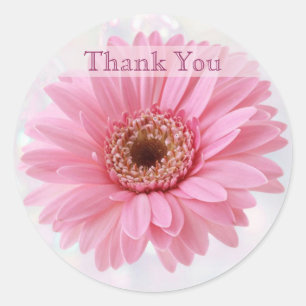 Pink Gerbera daisy Bedankt Sticker