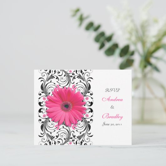 Pink Gerbera Daisy Bloemen Respons Kaart (Staand voorkant)