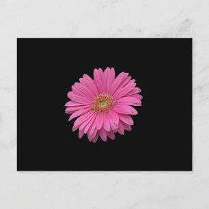 Pink Gerbera Daisy Briefkaart