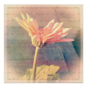 Pink Gerbera Daisy Collage Poster (Voorkant)
