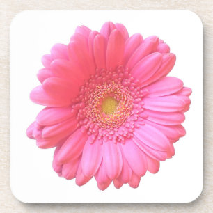 Pink gerbera daisy drankjes onderzetter