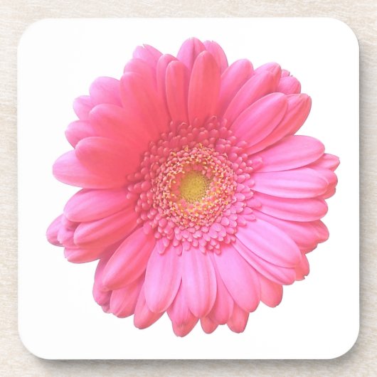 Pink gerbera daisy drankjes onderzetter (Voorkant)