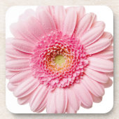 Pink Gerbera Daisy Drankjes Onderzetter (Voorkant)