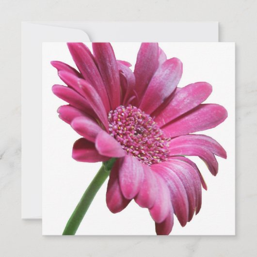 Pink Gerbera Daisy Invitation Kaart (Voorkant)