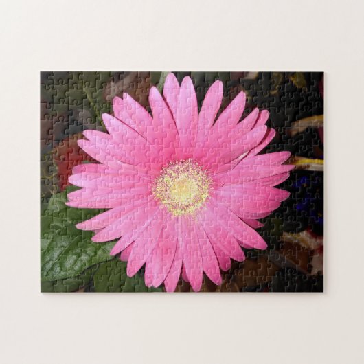 Pink Gerbera Daisy Legpuzzel (Horizontaal)