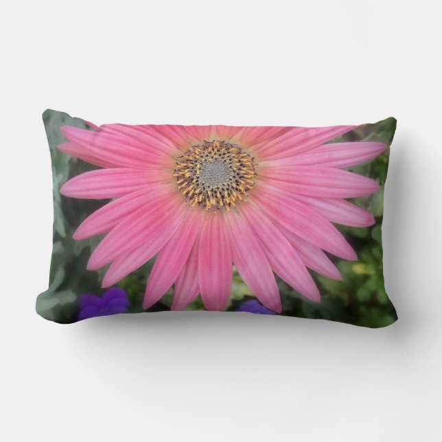 Pink Gerbera Daisy Lumbar Pillow Kussen (Voorkant)