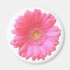 Pink gerbera daisy magneet