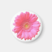 Pink gerbera daisy magneet (Voorkant)