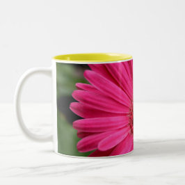Pink Gerbera Daisy Mok