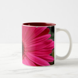 Pink Gerbera Daisy Mok