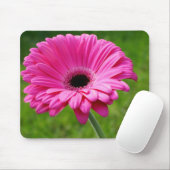 Pink Gerbera Daisy Muismat (Met muis)