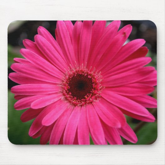 Pink Gerbera Daisy Muismat (Voorkant)