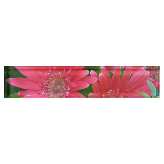 Pink Gerbera Daisy Naambordje (Voorkant)