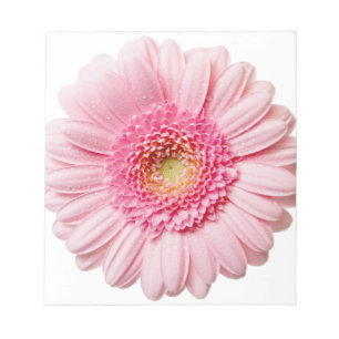 Pink Gerbera Daisy Notitieblok