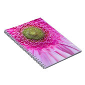 Pink Gerbera Daisy Notitieboek (Rechterzijde)