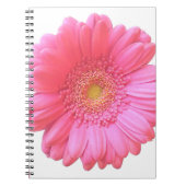 Pink gerbera daisy notitieboek (Voorkant)