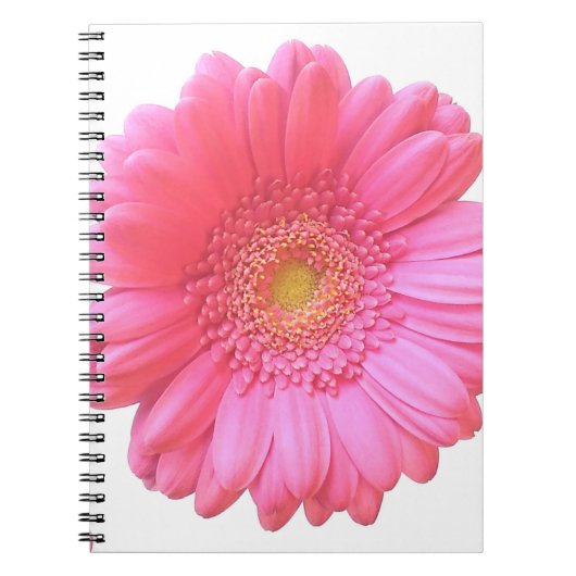 Pink gerbera daisy notitieboek (Voorkant)