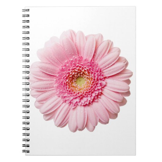 Pink Gerbera Daisy Notitieboek (Voorkant)