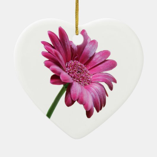Pink Gerbera Daisy Ornament (Achterkant)