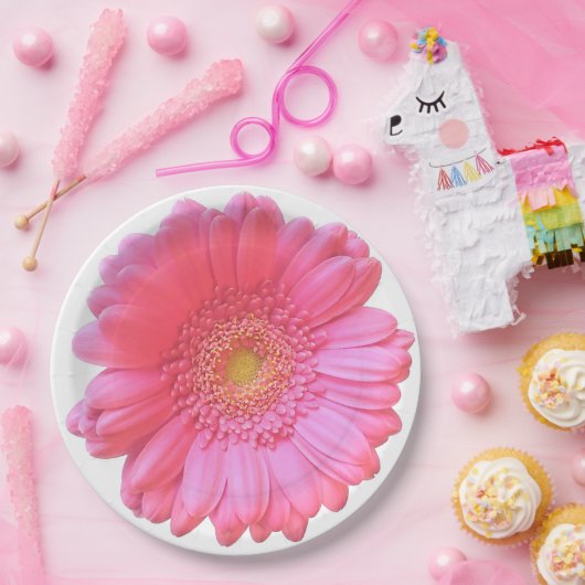 Pink gerbera daisy papieren bordje (Feest)
