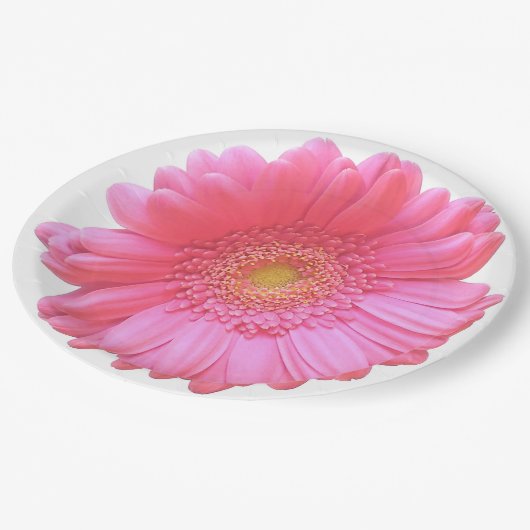 Pink gerbera daisy papieren bordje (Gekanteld)