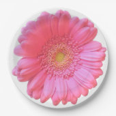 Pink gerbera daisy papieren bordje (Voorkant)