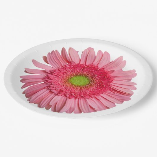Pink Gerbera Daisy Papieren Bordje (Gekanteld)