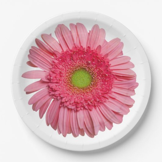 Pink Gerbera Daisy Papieren Bordje (Voorkant)