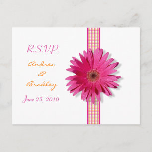 Pink Gerbera Daisy Plaid Ribbon RSVP Briefkaart
