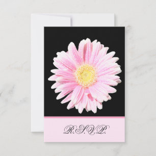Pink Gerbera Daisy Reply Kaart
