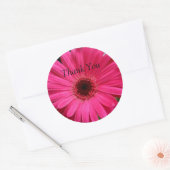 Pink Gerbera Daisy Ronde Sticker (Envelop)