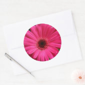 Pink Gerbera Daisy Ronde Sticker (Envelop)