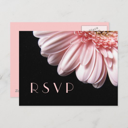 Pink Gerbera Daisy RSVP Briefkaart (Voorkant / Achterkant)