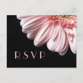 Pink Gerbera Daisy RSVP Briefkaart (Voorkant)
