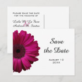 Pink Gerbera Daisy Save the Date Briefkaart (Voorkant / Achterkant)