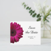 Pink Gerbera Daisy Save the Date Briefkaart (Staand voorkant)