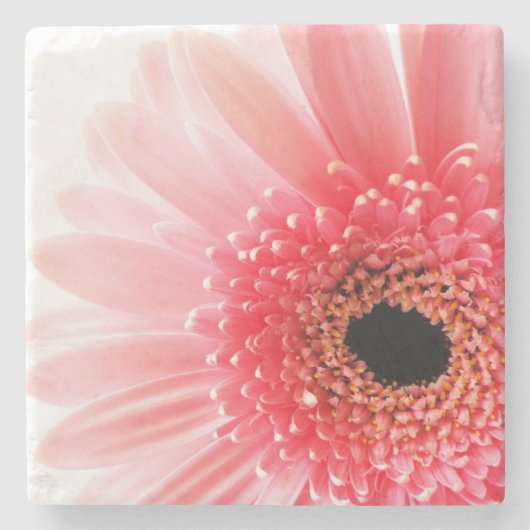 Pink Gerbera Daisy Stenen Onderzetter (Voorkant)