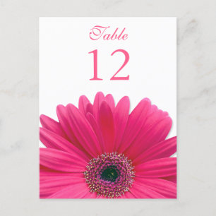 Pink Gerbera Daisy Table Number Card Briefkaart