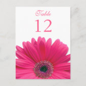 Pink Gerbera Daisy Table Number Card Briefkaart (Voorkant)