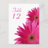 Pink Gerbera Daisy Table Number Card Briefkaart (Voorkant)
