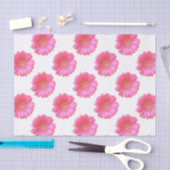 Pink gerbera daisy tissuepapier (Craft)